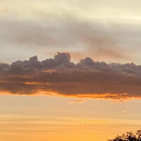 Fuoridicampo Beige Roncovetro