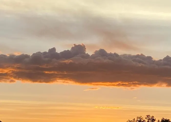 Fuoridicampo Beige Roncovetro