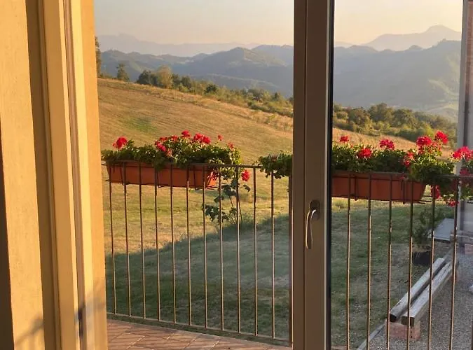 Fuoridicampo Beige Roncovetro